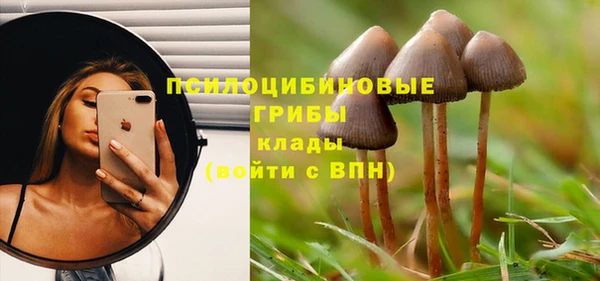 гидропоника Ельня