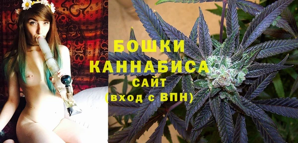 Альфа ПВП Елабуга