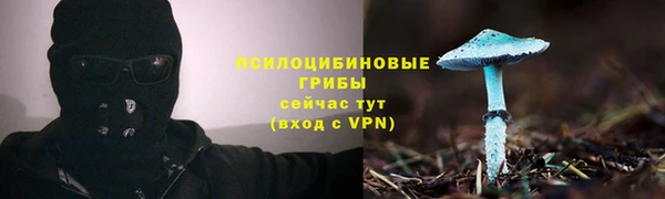 герыч Елизово