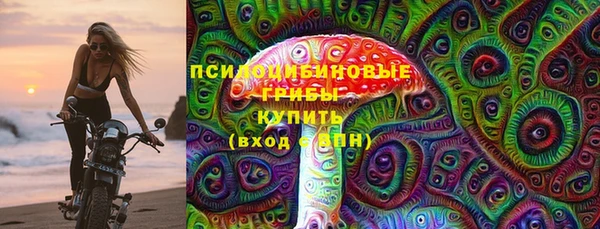 Альфа ПВП Елабуга