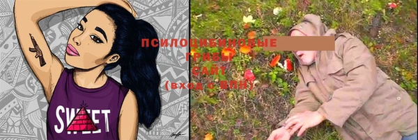 гидропоника Ельня