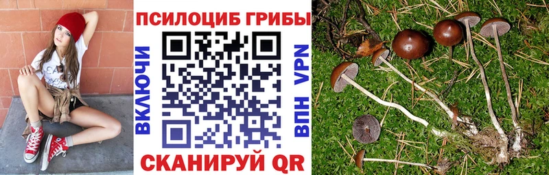 мега зеркало  Батайск  Галлюциногенные грибы мухоморы 